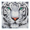 Picture of CRYSTAL ART SNOW TIGER 30X30CM